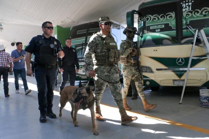 REALIZAN SSPM Y MARINA OPERATIVO CON BINOMIO CANINO EN LA CENTRAL DE AUTOBUSES DE CD.OBREGÓN