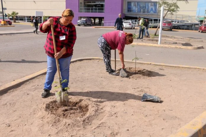 IMPULSA PROGRAMAS PREVENTIVOS DE LA POLICÍA MUNICIPAL REFORESTACIÓN