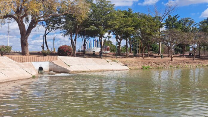 Colocan red en la Laguna del Náinari para atrapar a pez diablo