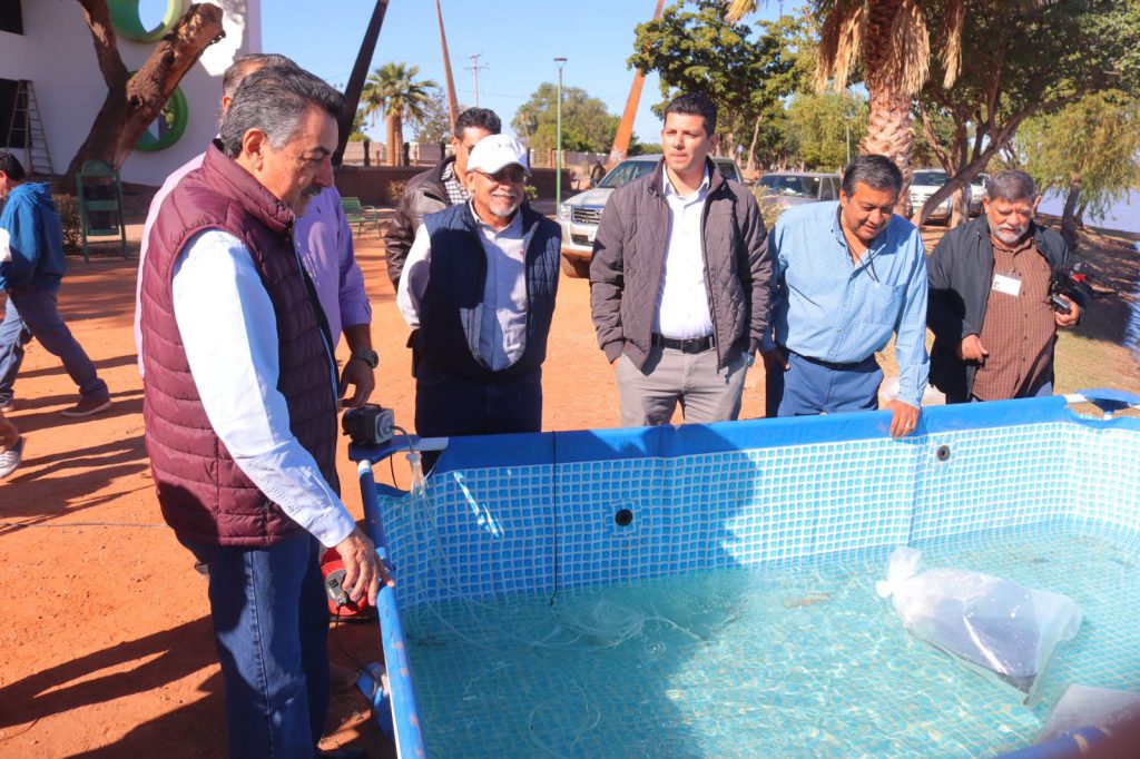 FIRMA GOBIERNO MUNICIPAL CONVENIO DE COLABORACIÓN CON INSTITUTO DE ACUACULTURA DEL ESTADO DE SONORA